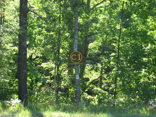 Thumbnail Photo #0 of Parcel C1, in Surrey Township, Clare County, near Farwell, Michigan