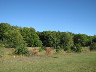 Thumbnail Photo #1 of Parcel 1, in Rose Lake Township, Osceola County, near Leroy and Tustin, Michigan
