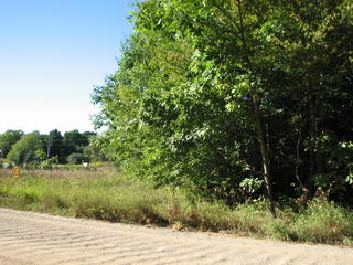 Thumbnail Photo #3 of Parcel 3, in Rose Lake Township, Osceola County, near Leroy and Tustin, Michigan