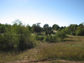 Thumbnail Photo #5 of Parcel 3, in Rose Lake Township, Osceola County, near Leroy and Tustin, Michigan