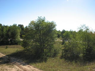 Thumbnail Photo #6 of Parcel 3, in Rose Lake Township, Osceola County, near Leroy and Tustin, Michigan