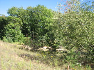 Thumbnail Photo #7 of Parcel 3, in Rose Lake Township, Osceola County, near Leroy and Tustin, Michigan