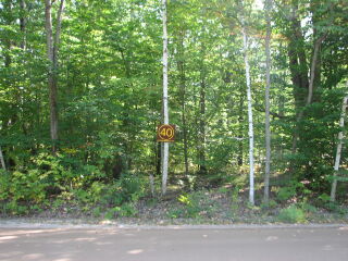 Parcel 40H; Land for Sale in Osceola County, Michigan 49655