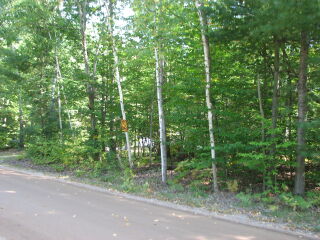 Thumbnail Photo #1 of Parcel 40H, in Rose Lake Township, Osceola County, near Leroy and Tustin, Michigan