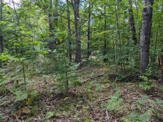 Thumbnail Photo #7 of Parcel 40H, in Rose Lake Township, Osceola County, near Leroy and Tustin, Michigan