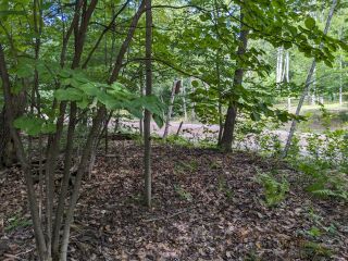 Thumbnail Photo #8 of Parcel 40H, in Rose Lake Township, Osceola County, near Leroy and Tustin, Michigan