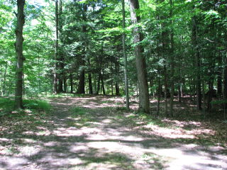 Thumbnail Photo #2 of Parcel 40W, in Rose Lake Township, Osceola County, near Leroy and Tustin, Michigan
