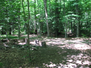 Thumbnail Photo #3 of Parcel 40W, in Rose Lake Township, Osceola County, near Leroy and Tustin, Michigan