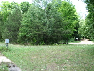 Thumbnail Photo #3 of Parcel 42, in Rose Lake Township, Osceola County, near Leroy and Tustin, Michigan
