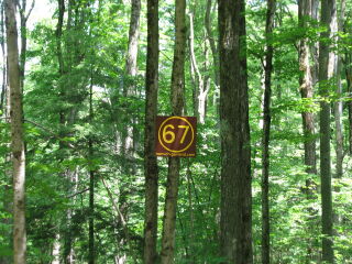 Parcel 67; Land for Sale in Osceola County, Michigan 49655