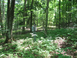Thumbnail Photo #3 of Parcel 67, in Rose Lake Township, Osceola County, near Leroy and Tustin, Michigan