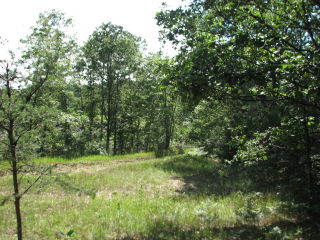 Thumbnail Photo #11 of Parcel J1, in Ellsworth Township, Lake County, near Luther, Michigan