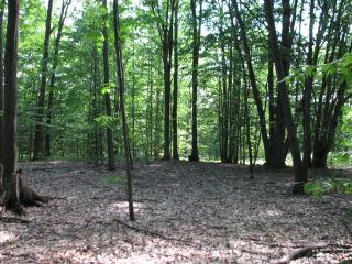 Thumbnail Photo #4 of Parcel J1, in Ellsworth Township, Lake County, near Luther, Michigan