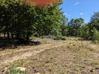Thumbnail Photo #11 of Parcel P1, in Ellsworth Township, Lake County, near Luther, Michigan