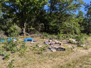 Thumbnail Photo #12 of Parcel P1, in Ellsworth Township, Lake County, near Luther, Michigan