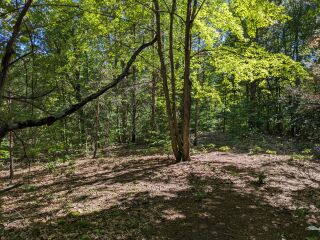 Thumbnail Photo #13 of Parcel P1, in Ellsworth Township, Lake County, near Luther, Michigan