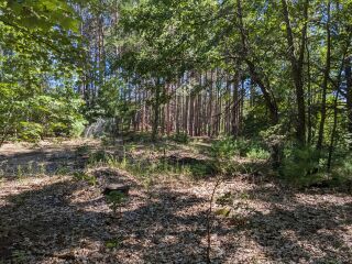 Thumbnail Photo #14 of Parcel P1, in Ellsworth Township, Lake County, near Luther, Michigan