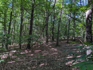 Thumbnail Photo #15 of Parcel P1, in Ellsworth Township, Lake County, near Luther, Michigan