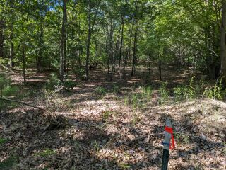 Thumbnail Photo #16 of Parcel P1, in Ellsworth Township, Lake County, near Luther, Michigan