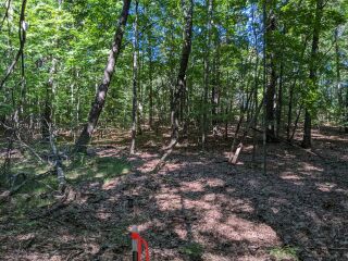 Thumbnail Photo #17 of Parcel P1, in Ellsworth Township, Lake County, near Luther, Michigan