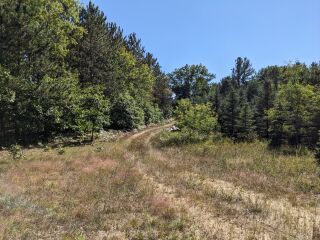 Thumbnail Photo #4 of Parcel P1, in Ellsworth Township, Lake County, near Luther, Michigan