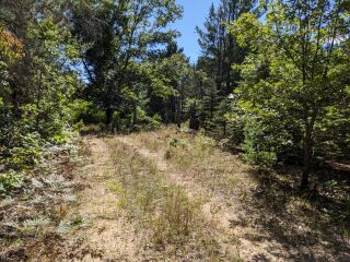 Thumbnail Photo #5 of Parcel P1, in Ellsworth Township, Lake County, near Luther, Michigan