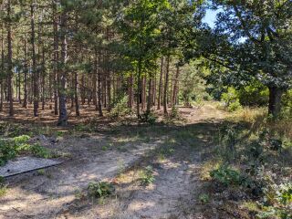 Thumbnail Photo #6 of Parcel P1, in Ellsworth Township, Lake County, near Luther, Michigan