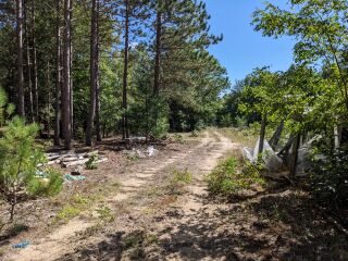 Thumbnail Photo #7 of Parcel P1, in Ellsworth Township, Lake County, near Luther, Michigan