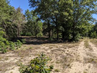 Thumbnail Photo #9 of Parcel P1, in Ellsworth Township, Lake County, near Luther, Michigan