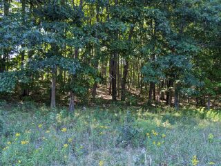 Thumbnail Photo #16 of Parcel P6, in Ellsworth Township, Lake County, near Luther, Michigan