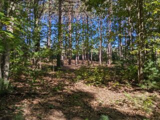 Thumbnail Photo #18 of Parcel P6, in Ellsworth Township, Lake County, near Luther, Michigan