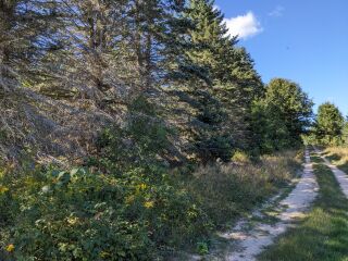 Thumbnail Photo #6 of Parcel P6, in Ellsworth Township, Lake County, near Luther, Michigan